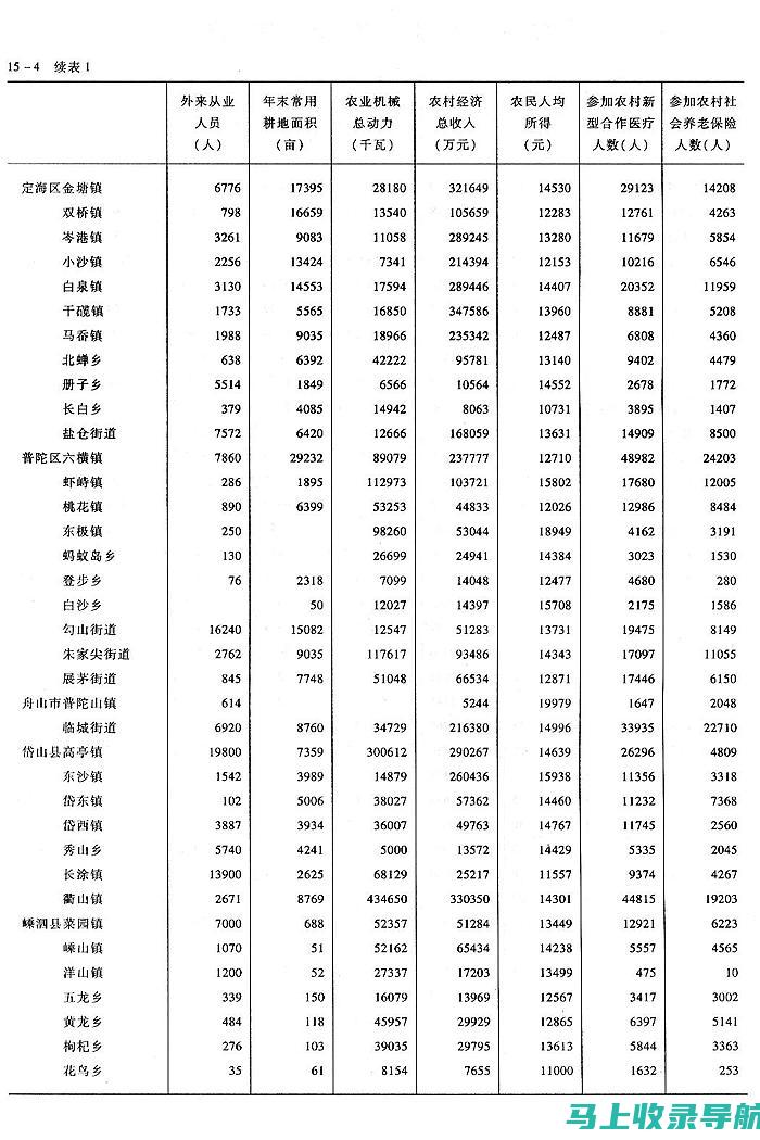 乡镇统计站站长的工作心得与经验分享